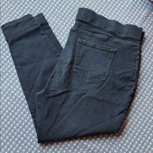 Terra & Sky Dark Blue Women’s Jeggings sz 20-22 2X